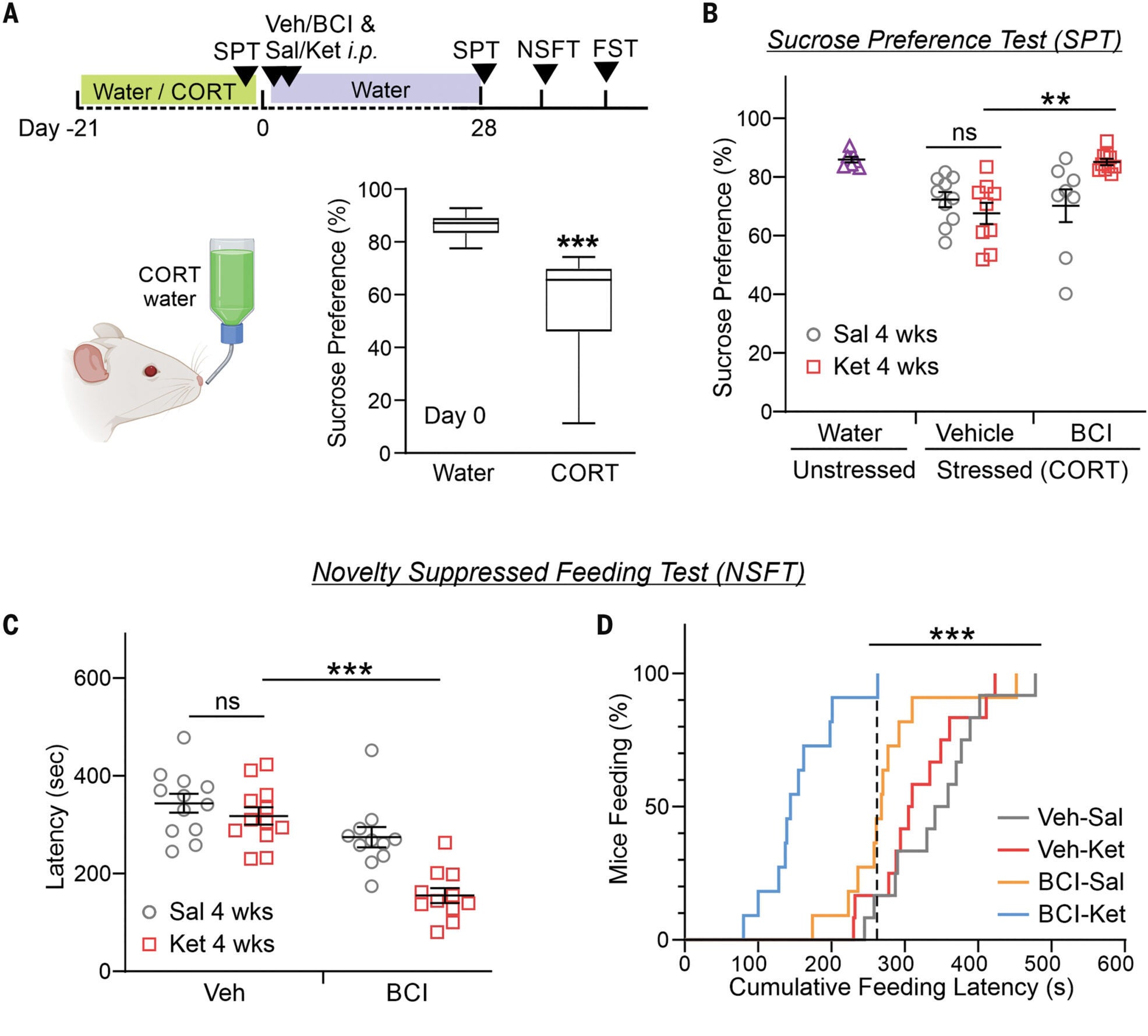 BCI extends Ket’s antidepressant effects in a chronic stress model.