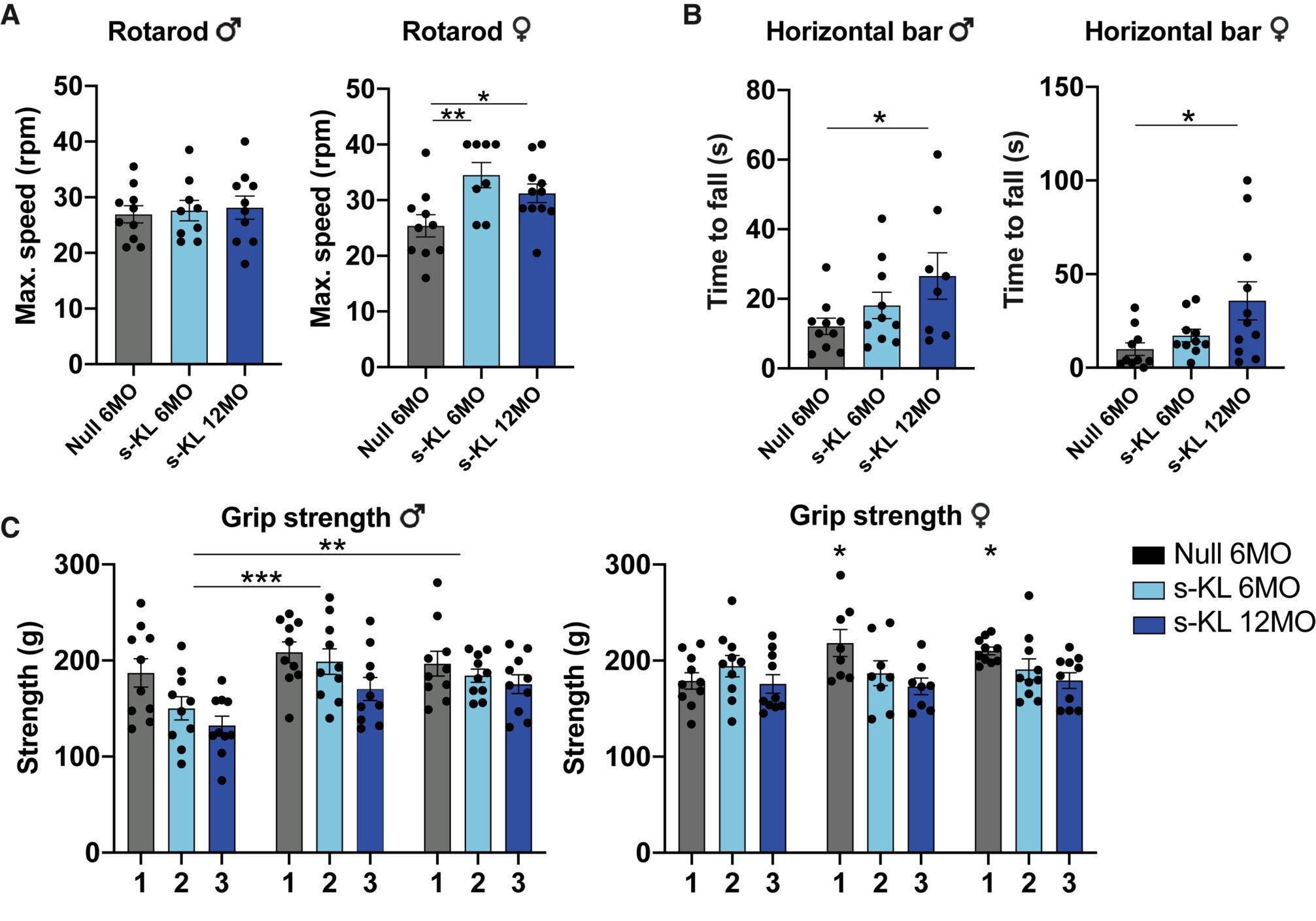 Physical tests and histological analysis of muscular tissue from treated naturally aged animals