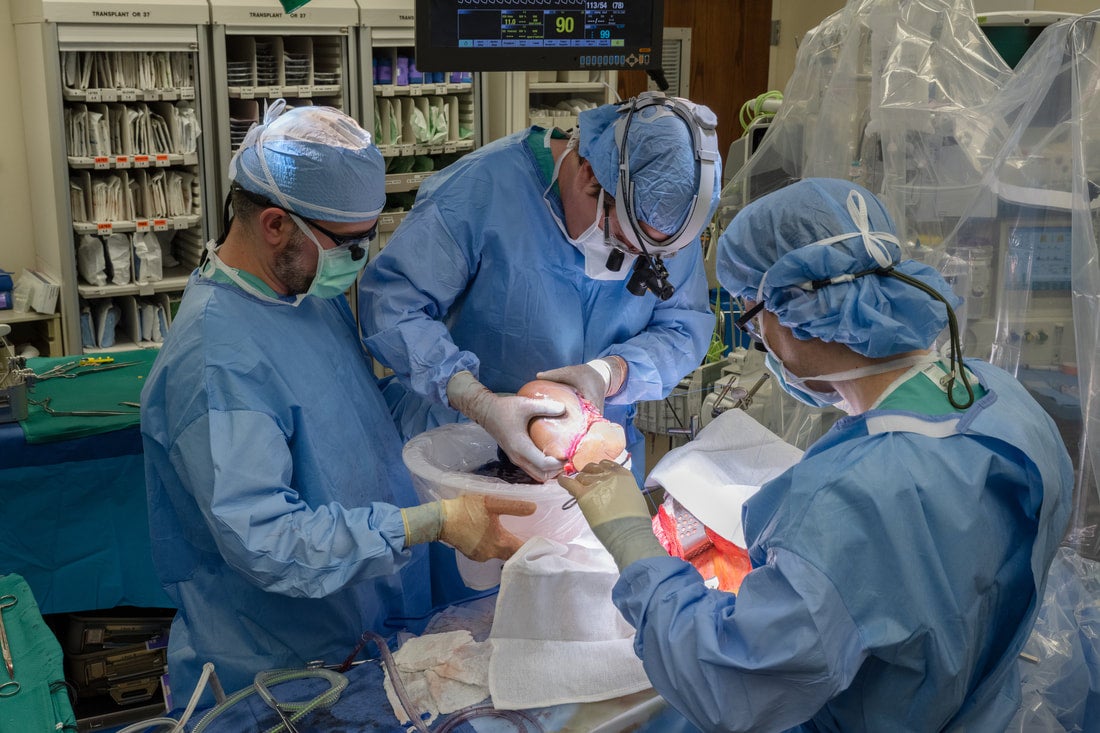MASLD may soon become the number one cause of liver cirrhosis and the top reason for liver transplants.