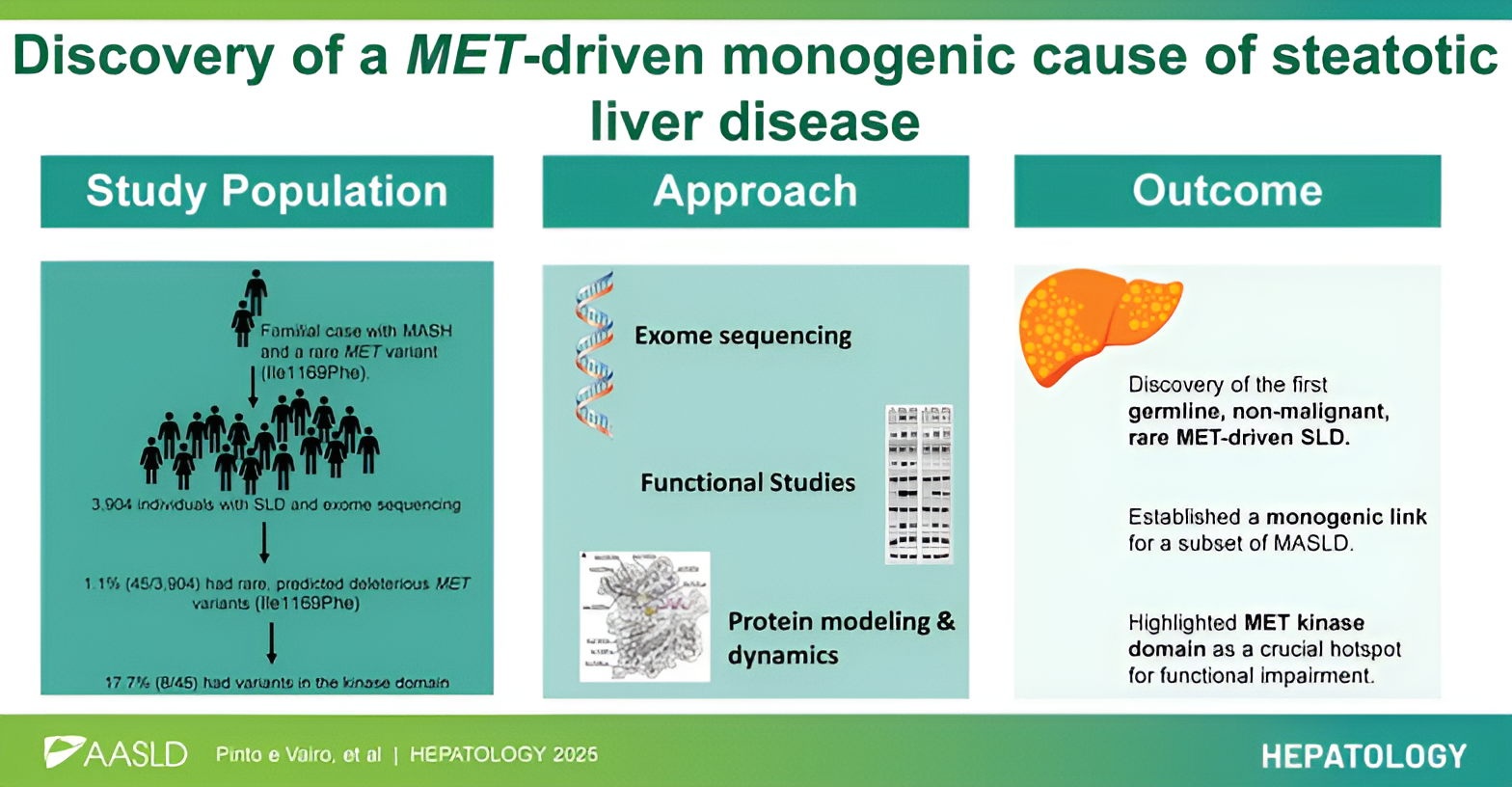 Discovery of a MET-driven monogenic cause of steatotic liver disease.