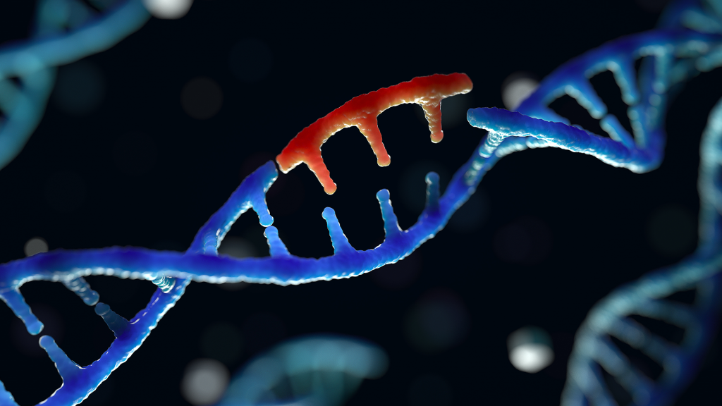 The discovery emerged from the genomic data of a woman and her father with metabolic dysfunction-associated steatohepatitis. They had no history of diabetes or high cholesterol, two common risk factors for fat buildup in the liver.