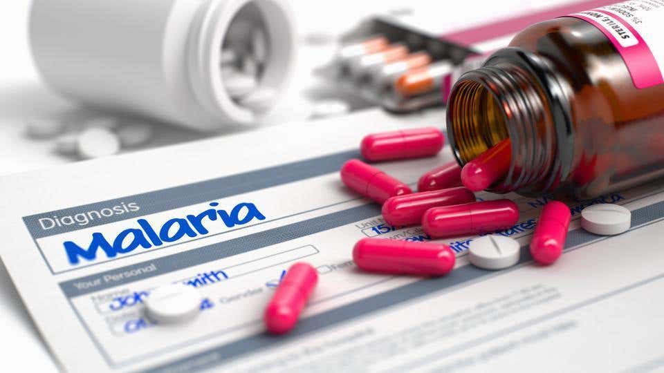 New research shows malaria drug mefloquine can help existing treatments for genetic diseases like DMD work better, with fewer side effects.