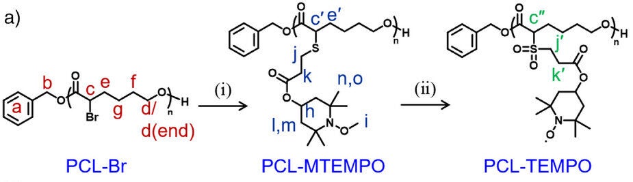 Scheme for the synthesis of PCL-TEMPO: (i) thio-MTEMPO, Et3N, DMF, RT, and 4 h, and (ii) mCPBA, DCM, 0 °C to RT, and 4 h.