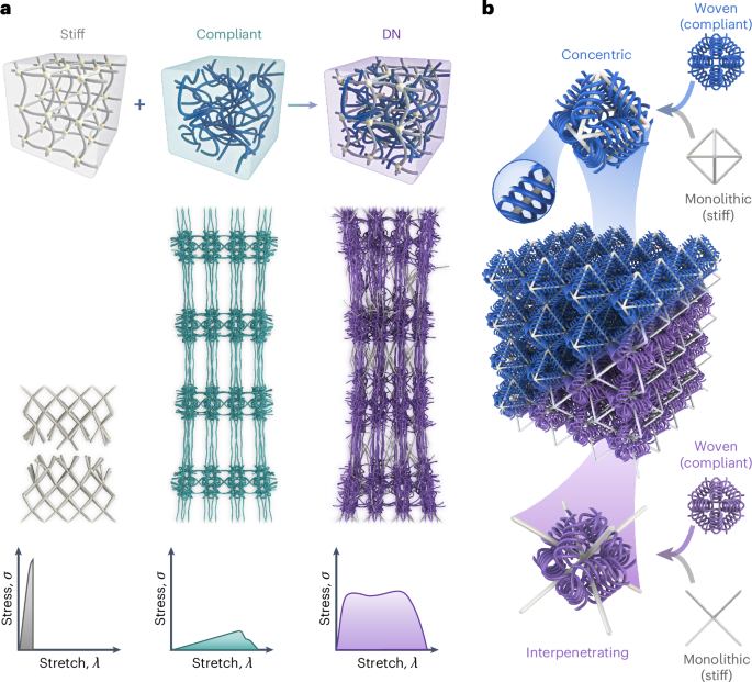 Double-network materials.