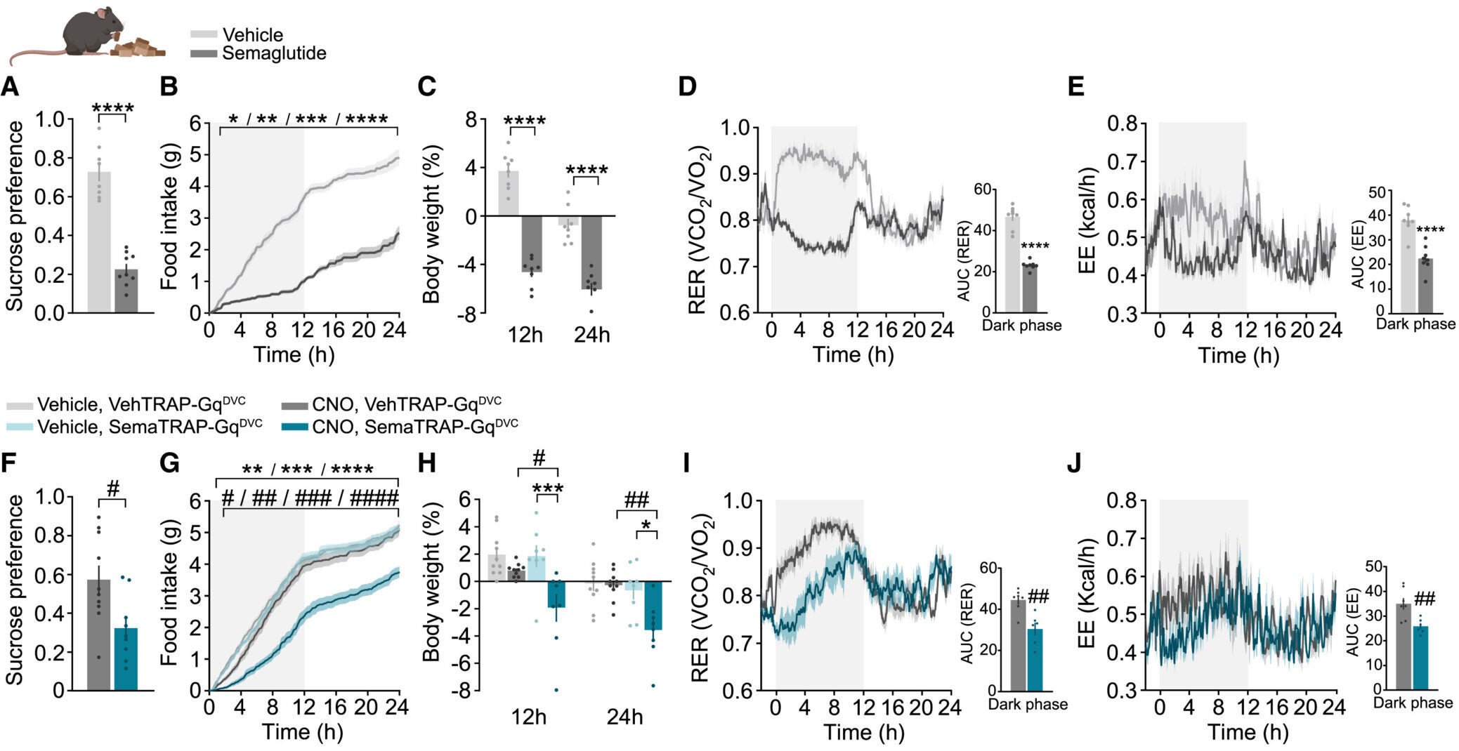 Reactivation of DVC neurons previously activated by semaglutide mimics the effect of semaglutide on taste avoidance and energy balance
