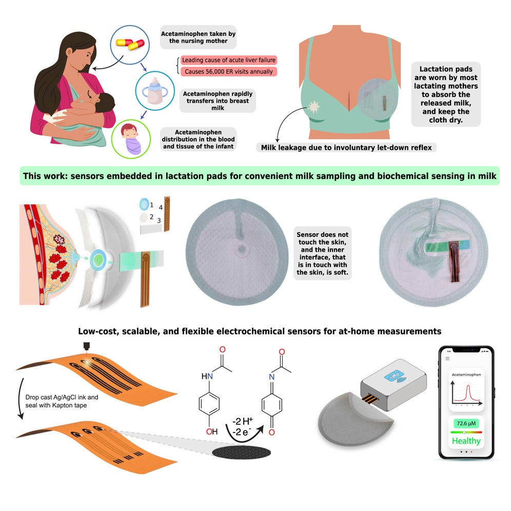 A graphical abstract of the study.