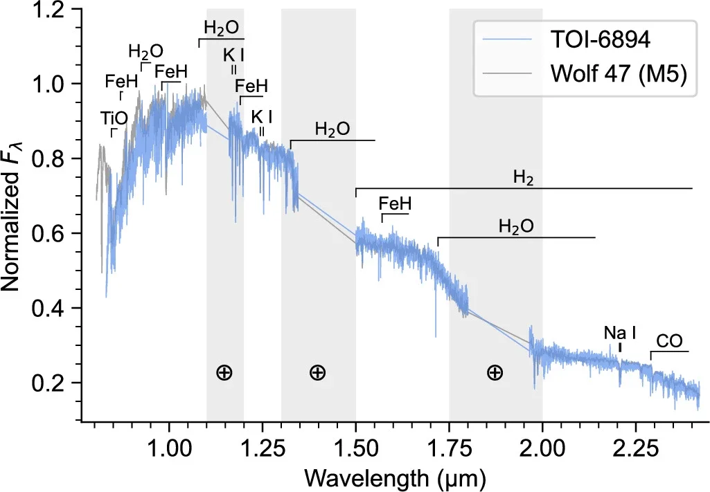 Magellan/FIRE spectrum of TOI-6894.