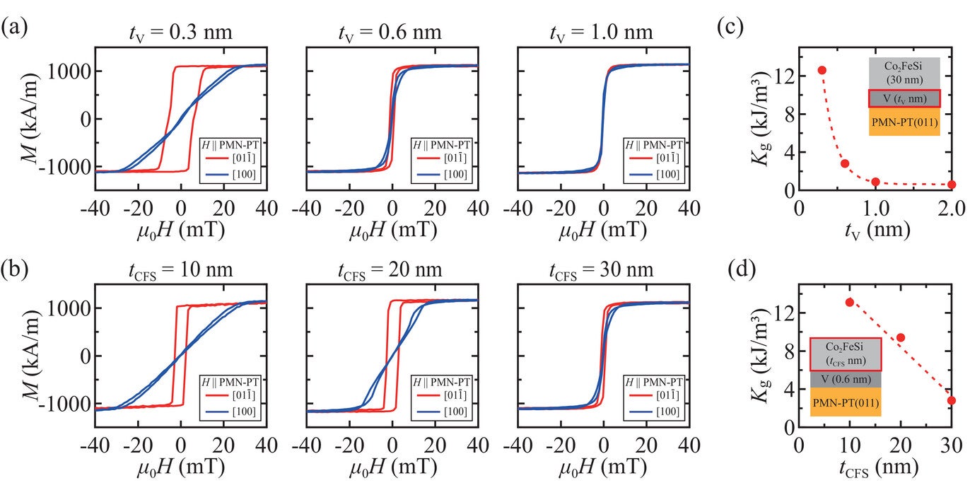Panels (a) and (b) are representative M-H curves at room temperature for various tV and tCFS in the case of Co2FeSi(30 nm)/V(tV nm)/PMN-PT(011) and Co2FeSi(tCFS nm)/V(0.6 nm)/PMN-PT(011), respectively. Panels (c) and (d) are the estimated Kg versus tV and tCFS, respectively.