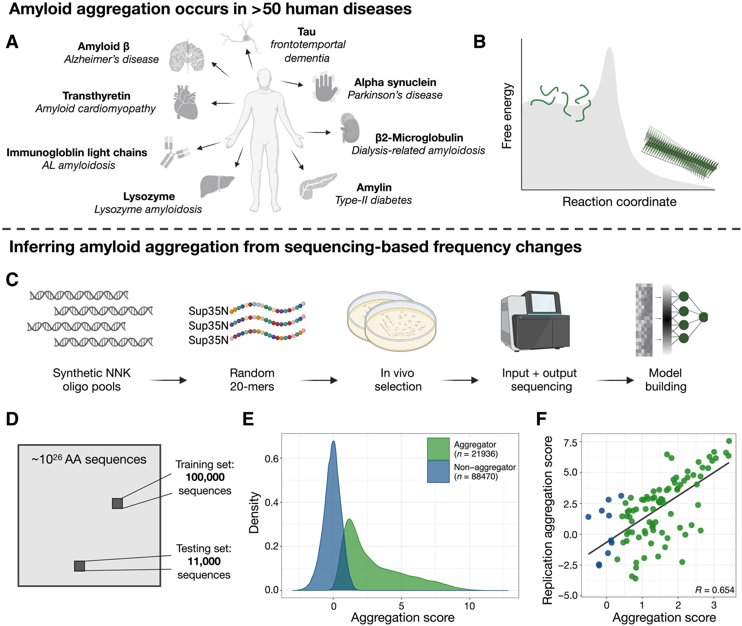 Quantifying the aggregation of >100,000 random peptides.
