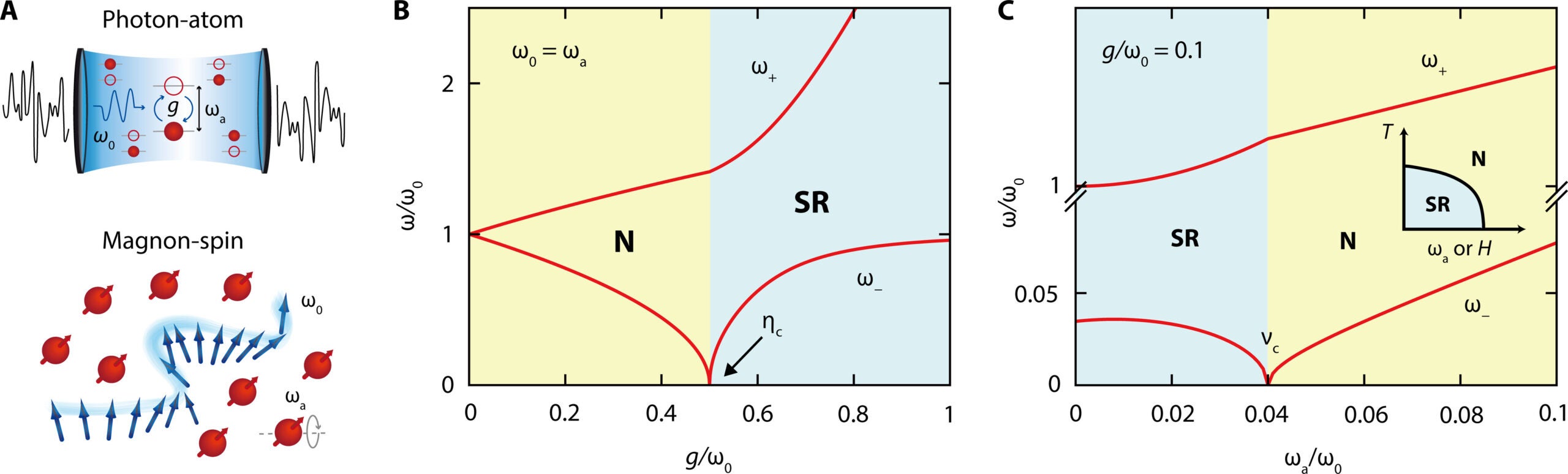 Comparison between a light-matter system and a magnon-spin system for the Dicke SRPT.