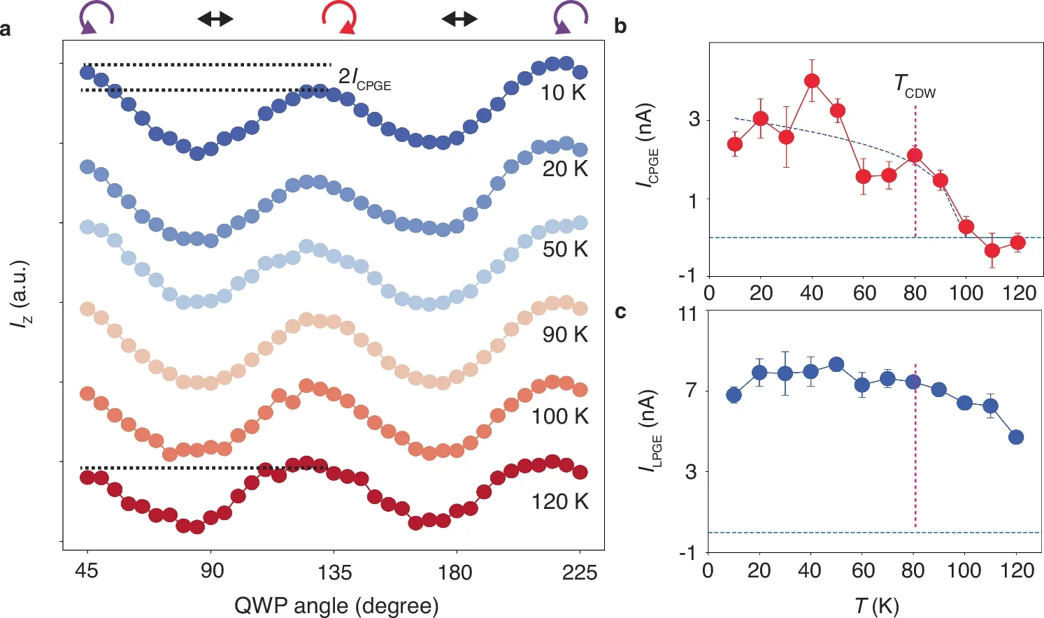 Temperature dependence of the longitudinal photocurrents highlighting a correlation with the CDW transition.