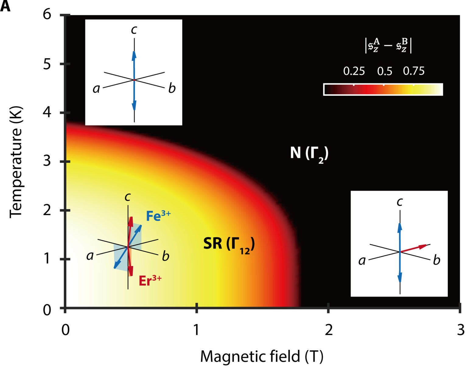 Theoretical T-H phase diagram. Insets: Schematics of the spin configuration in each phase.