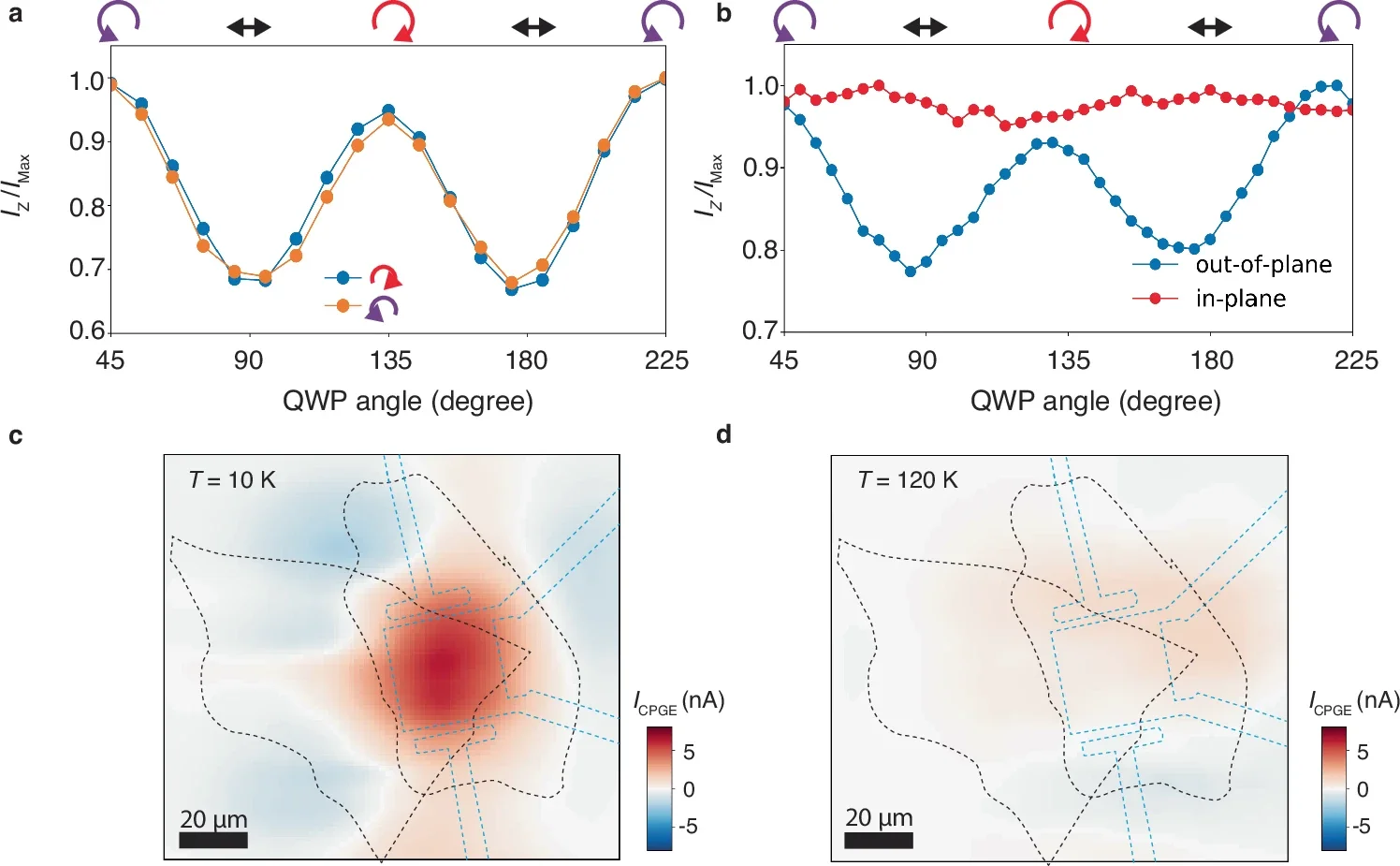 Investigation on the origin of the circular photogalvanic effect.