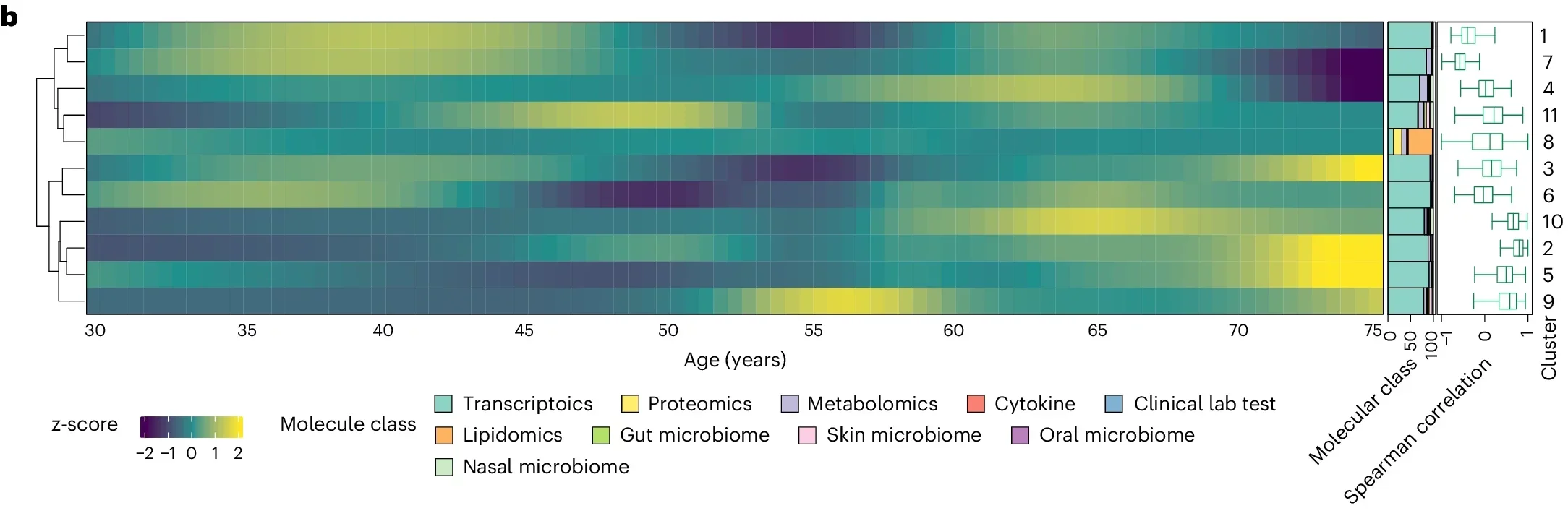 The heatmap shows the molecular trajectories in 11 clusters during human aging. The right stacked bar plots show the percentages of different kinds of omics data, and the right box plots show the correlation distribution between features and ages (n = 108 participants).