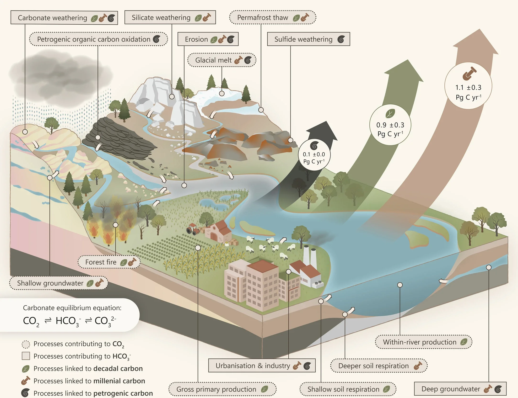 Conceptual model of carbon source contributions to global river CO2 emissions.