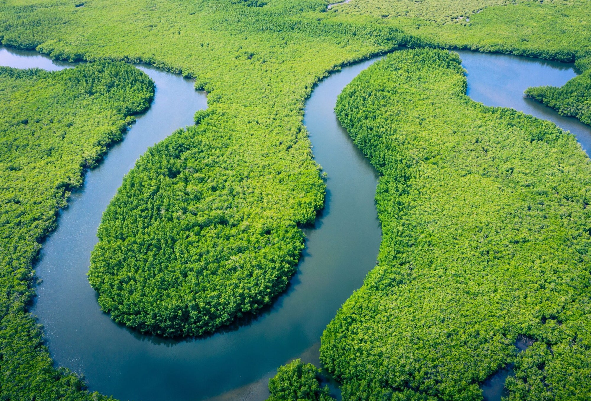 New Research Reveals Rivers as Major Contributors to Ancient Carbon Emissions