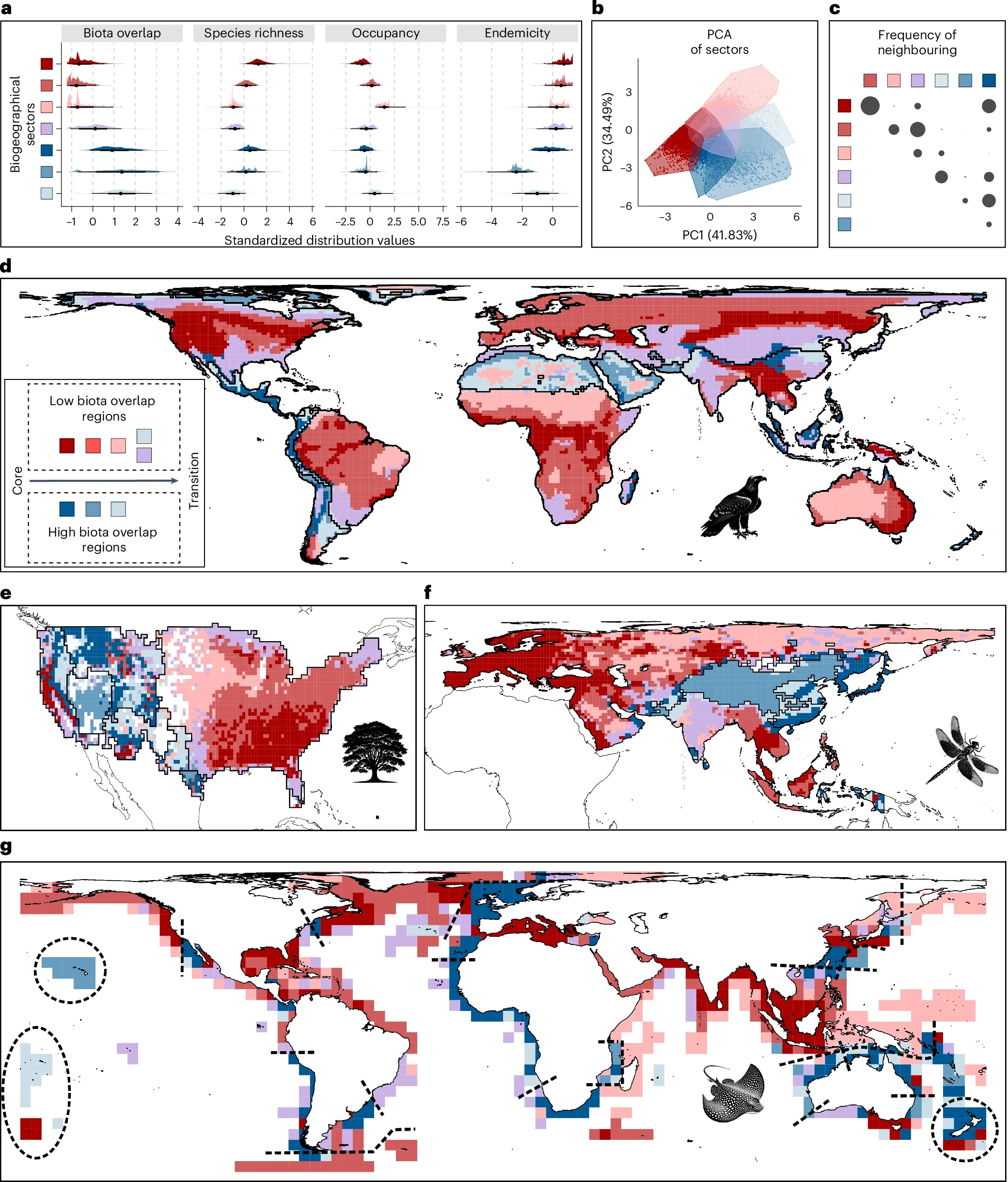 Seven general and spatially structured biogeographical sectors characterized from four biodiversity aspects across taxa.
