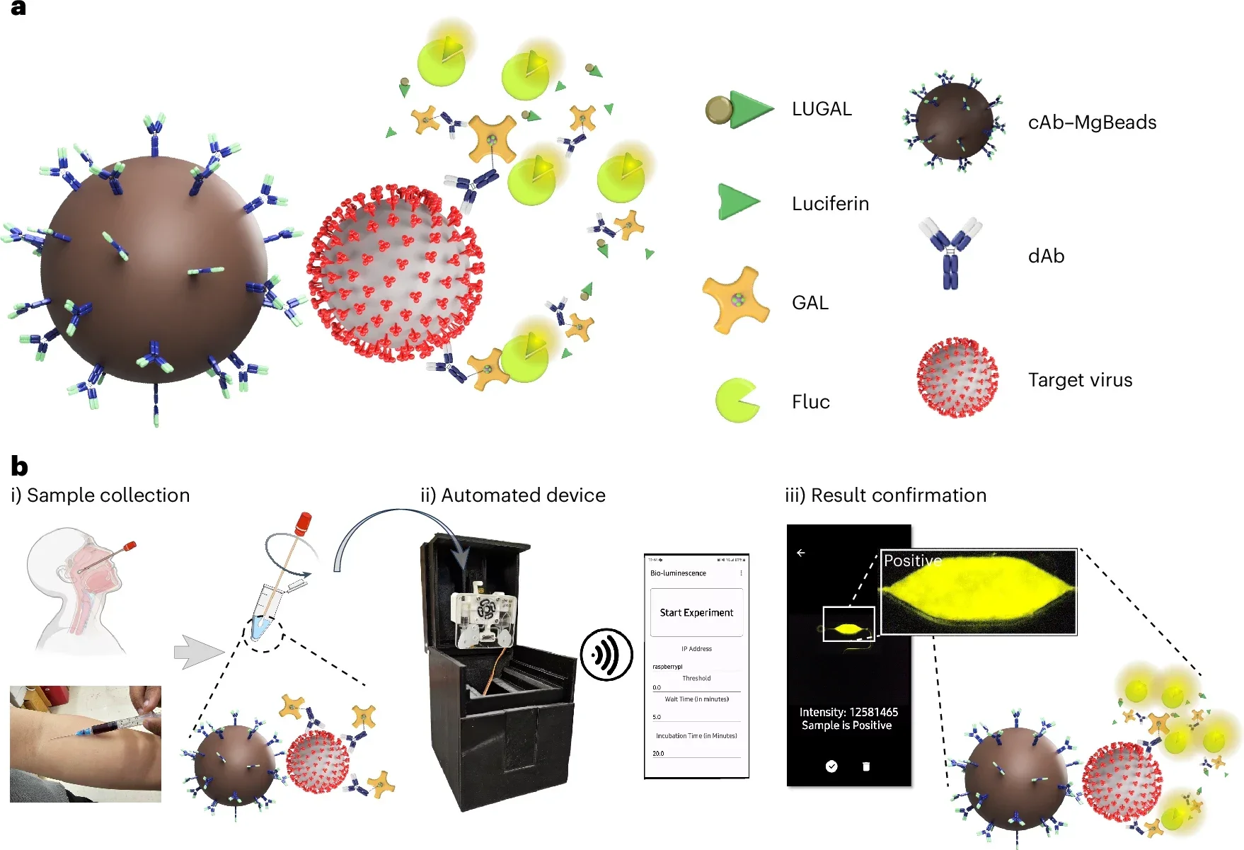 LUCAS schematic overview in the detection module.