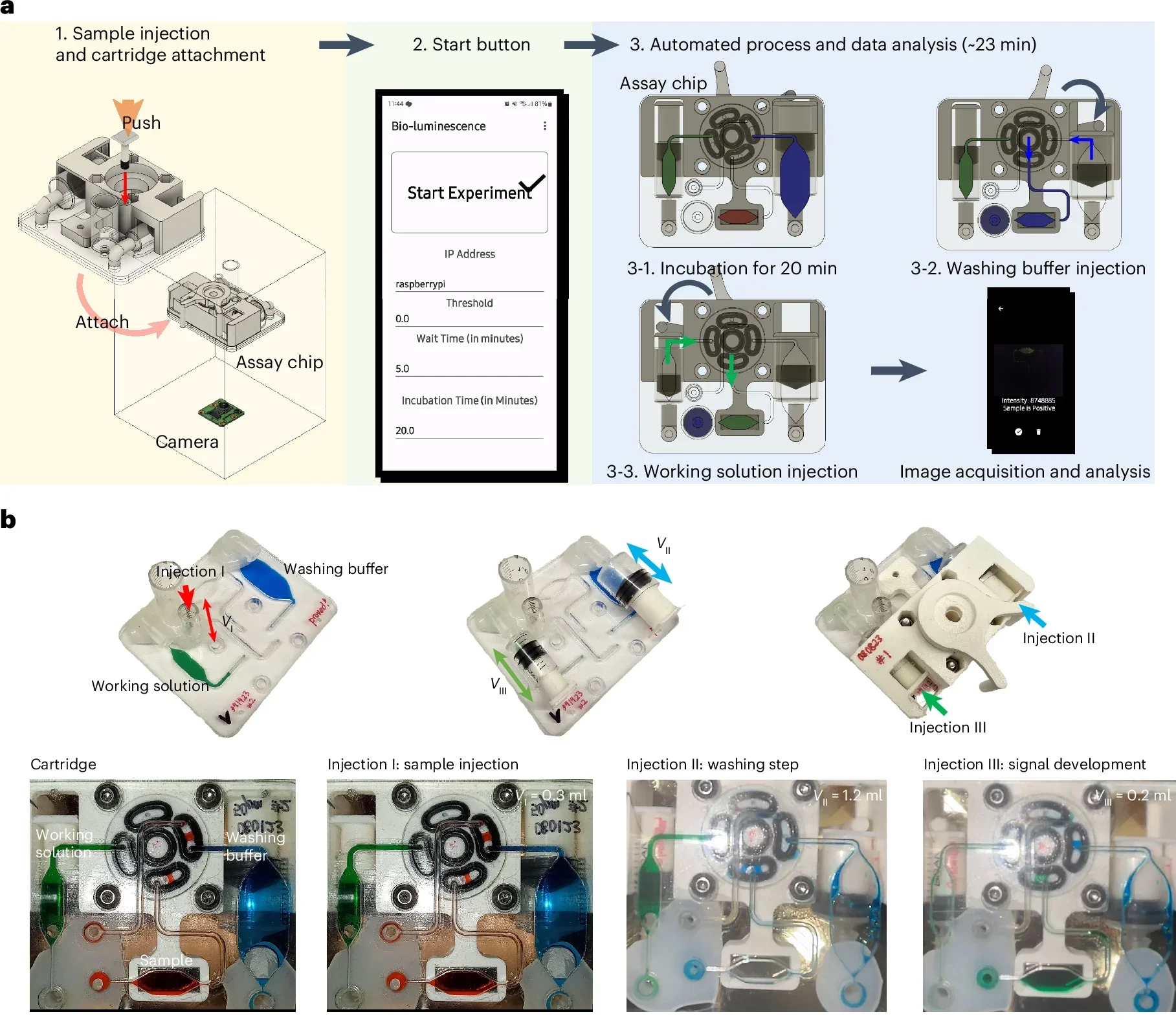 Performance of LUCAS using a fully automated detection module.