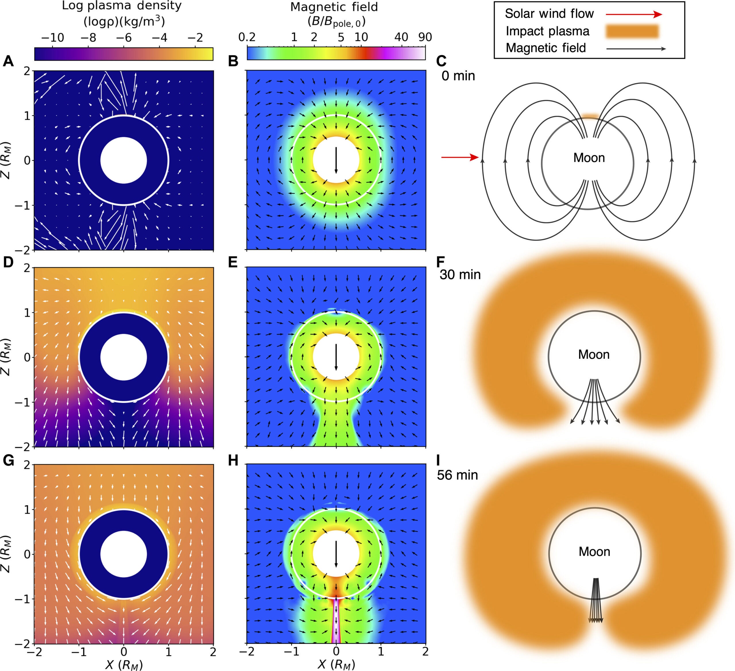 Amplification of the lunar dynamo field by an Imbrium-sized impact at the magnetic pole.