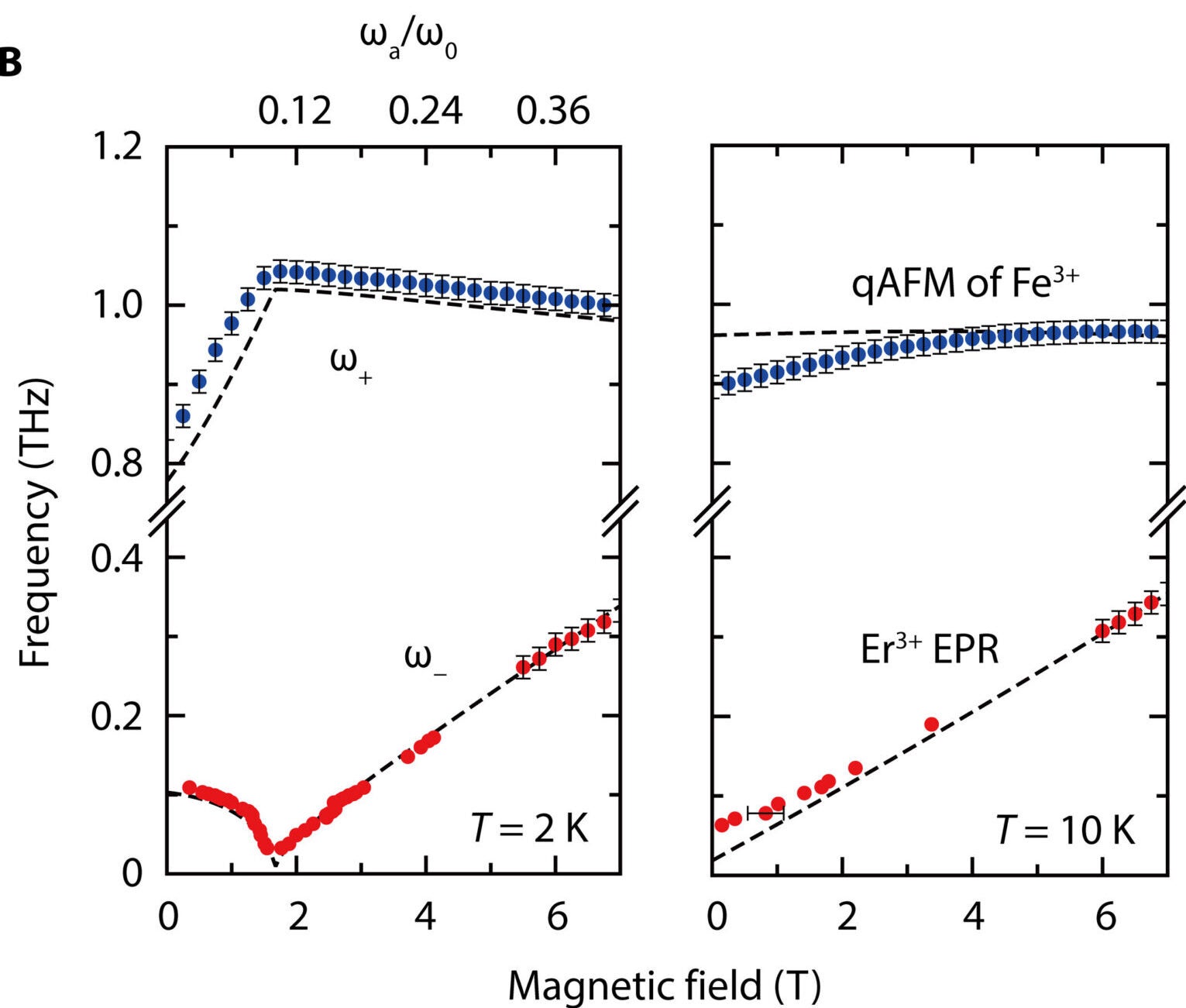 Resonance frequencies of each spin subsystem as a function of the external magnetic field at 2 K (left) and 10 K (right). Dots, experimental results; dashed lines, calculated resonance frequencies.
