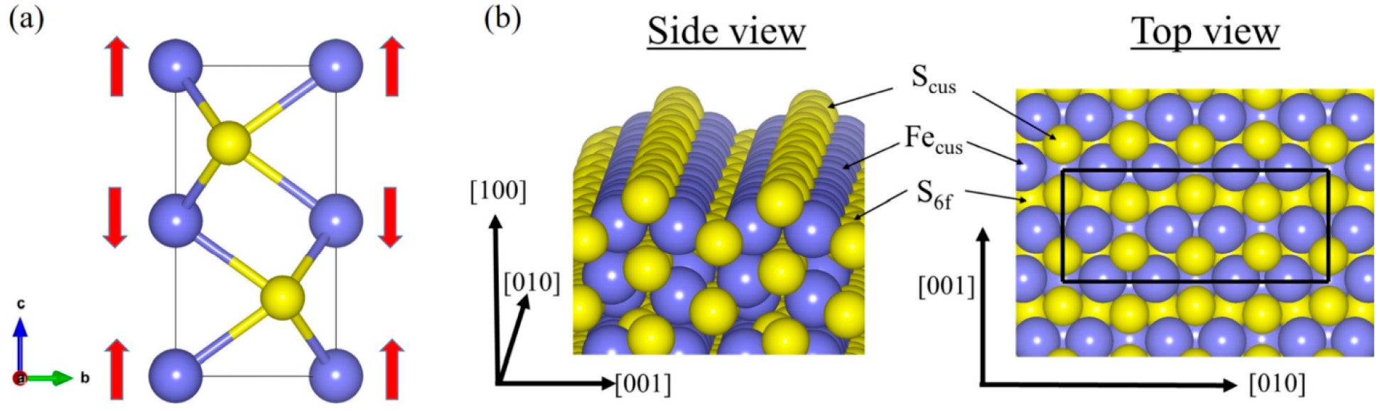 (a) Optimized bulk FeS structure, where the red arrows indicate the up and down spin states of the Fe atoms in different layers along the c-axis and (b) top and side views of the optimized S-terminated (100) FeS surfaces. Fe and S atoms are in purple and yellow, respectively.