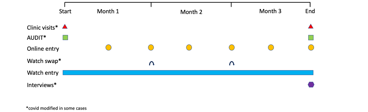 Overview of study elements with timings.