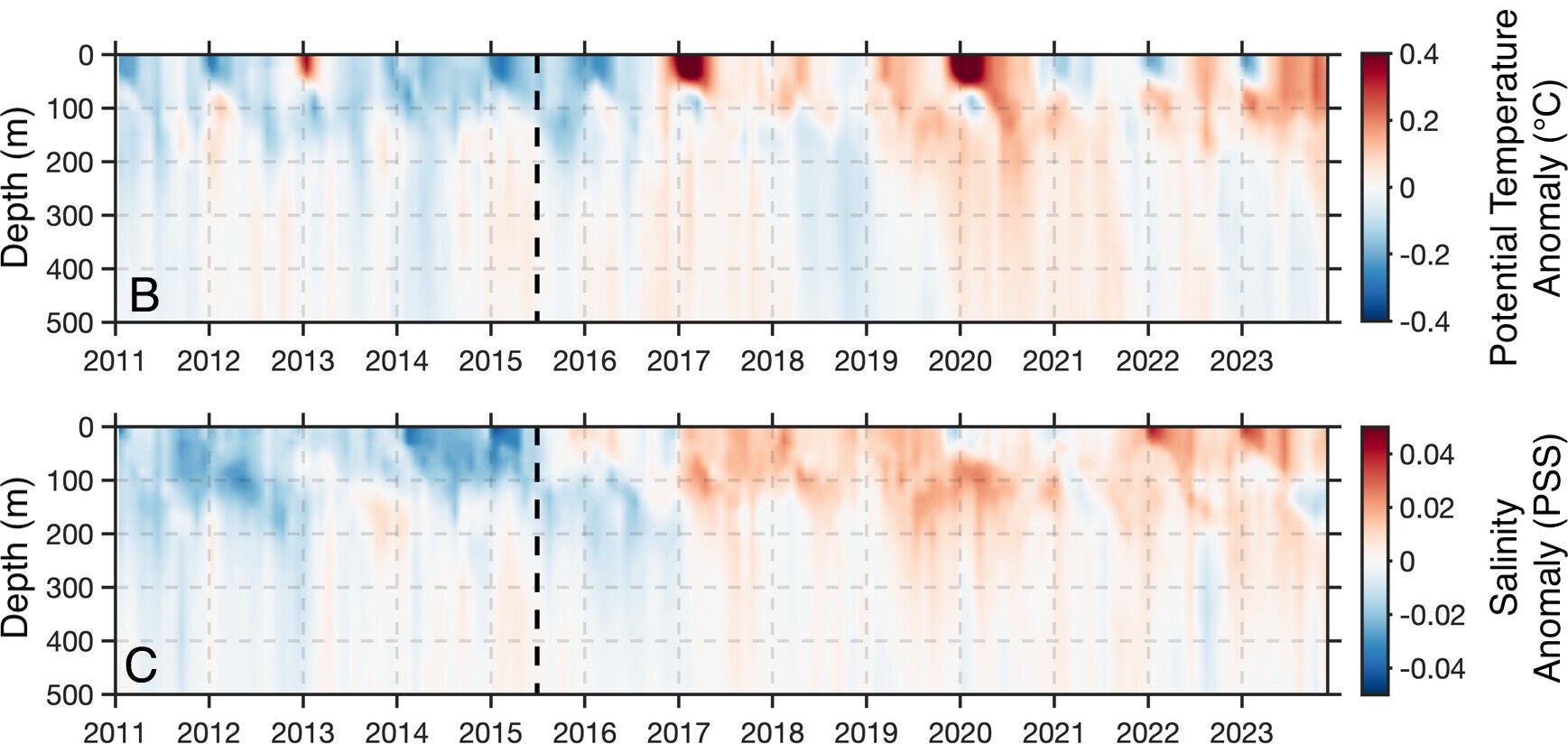 (B) Argo-derived potential temperature anomaly (°C) in the top 500 m of the water column. The vertical dashed black line marks winter 2015, when sea ice retreat began. (C) Same as (B), but for salinity. 