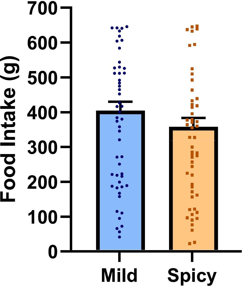 Mean (±SEM) food intake in Experiment 1 which investigated the effect of spice level (mild vs spicy) on intake of a beef chili test meal (n = 52).