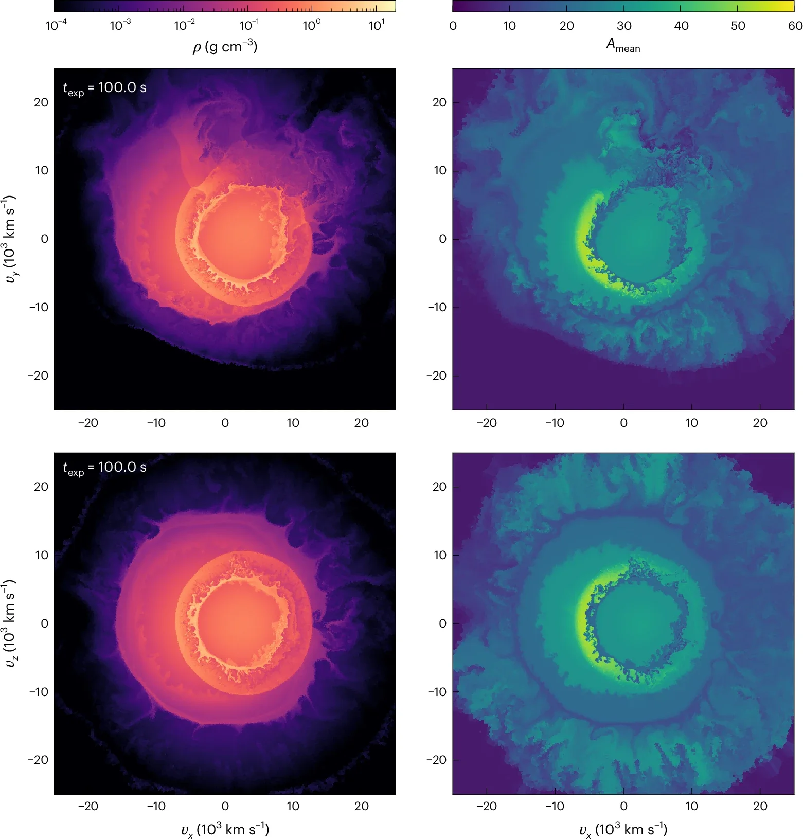 Ejecta profiles after the explosion of both stars.