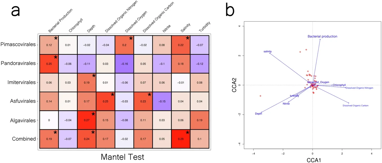 The correlation of environmental parameters with GVMAG abundance.