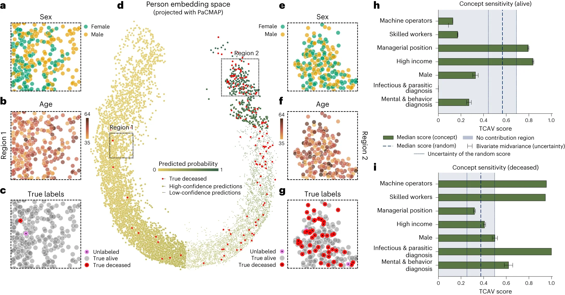 Representation of life-sequences conditioned on mortality predictions.