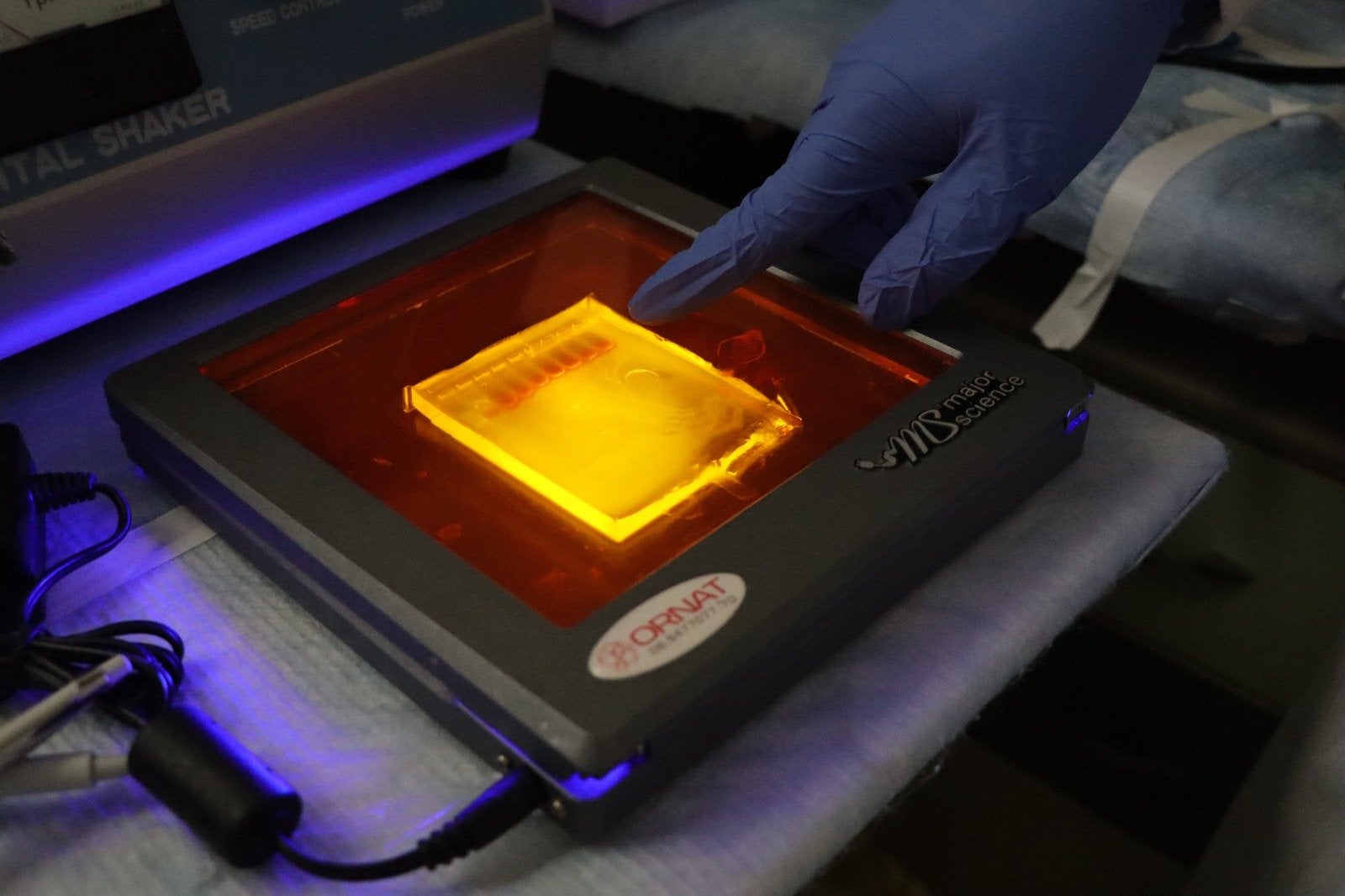 Running RNA gel. 