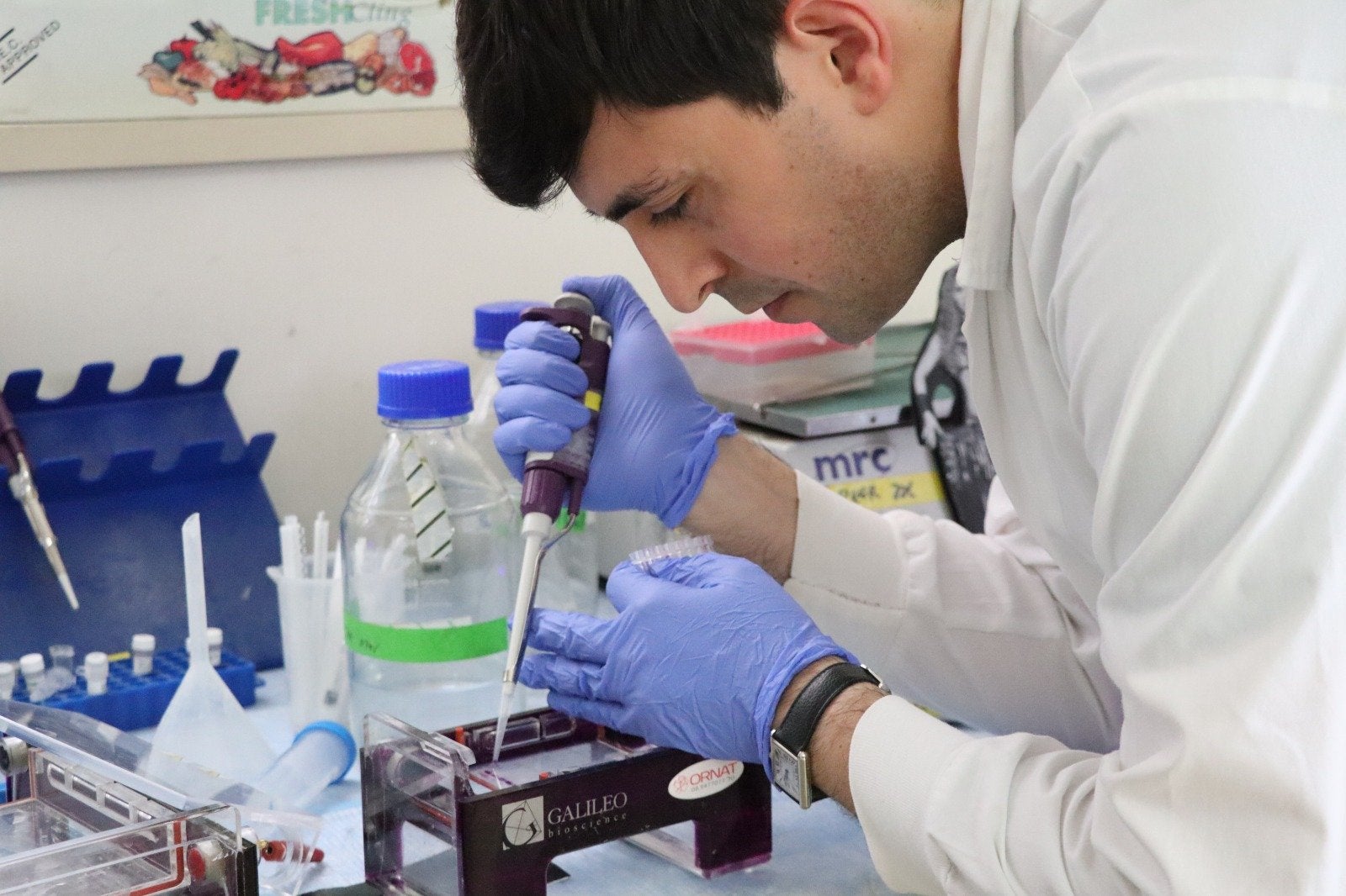 Dr. Edo Kon working on the world's first mRNA vaccine for bacteria at Tel Aviv University.