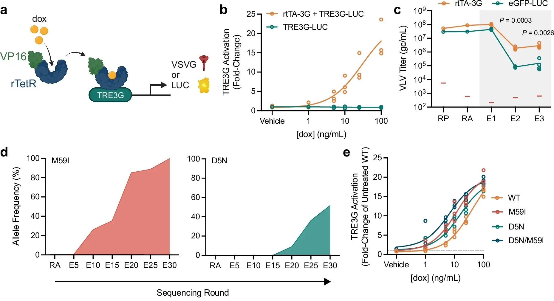 Enhancing drug-inducible transcriptional control.