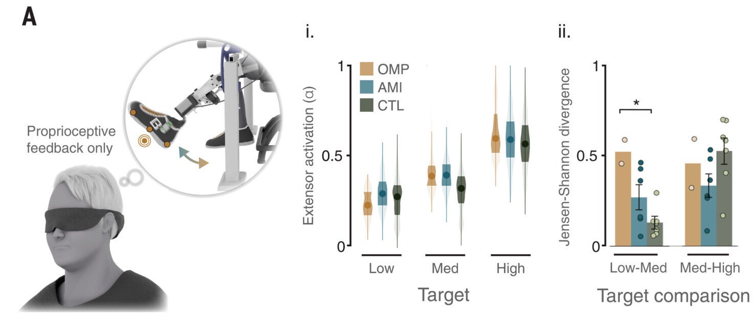 Activation of extensor muscles for three levels of steady-state prosthetic knee extension without visual feedback.
