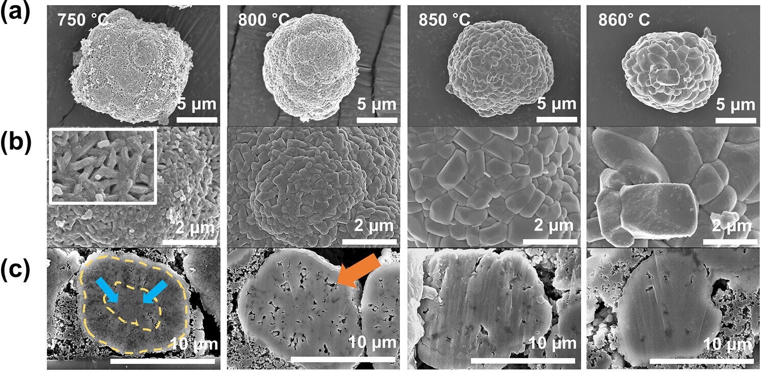 SEM images of N884-750, N884-800, N884-850, and N884-860 of (a) low-magnification images, (b) high-magnification images, and (c) cross-sectional images.