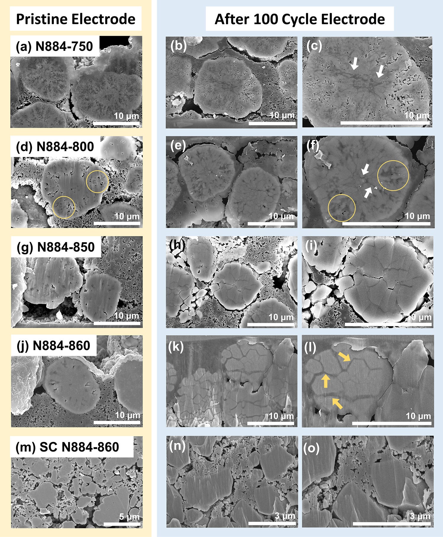 Cross-sectional SEM images of pristine (a) N884-750, (d) N884-800, (g) N884-850, (j) N884-860, and (m) SC N884-860. After 2.8–4.3 V (vs. Li/Li+), C/3, 100 cycle (b, c) N884-750, (e, f) N884-800, (h, i) N884-850, (k, l) N884-860, and (n, o) SC N884-860.