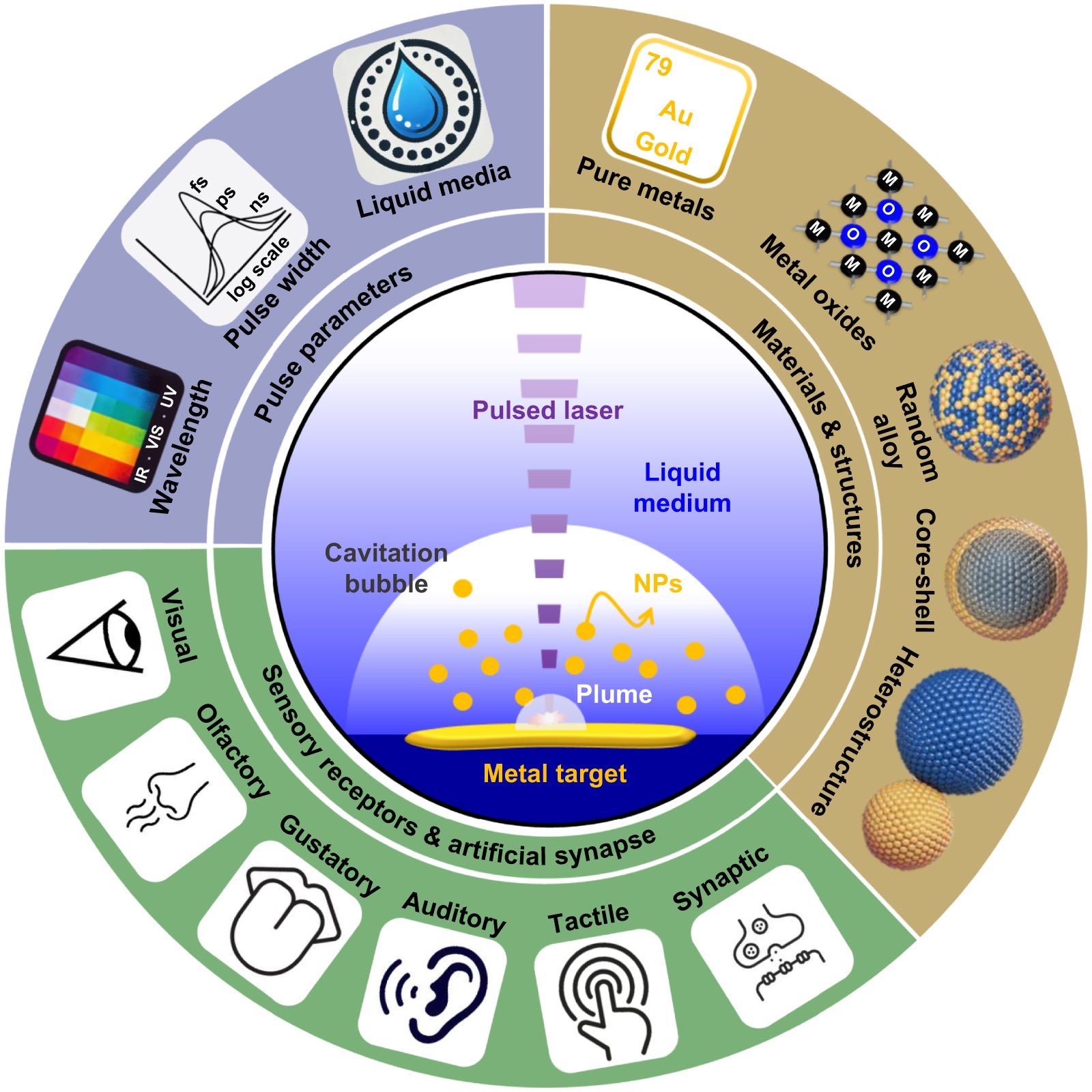 Schematics of the laser ablation in liquid (LAL) process for scalable nanoparticle (NP) fabrication, highlighting an overview of this review. Key aspects of this review: the process parameters determining NP features, metal target-derived materials and structures, and applications in various sensors and synaptic devices.