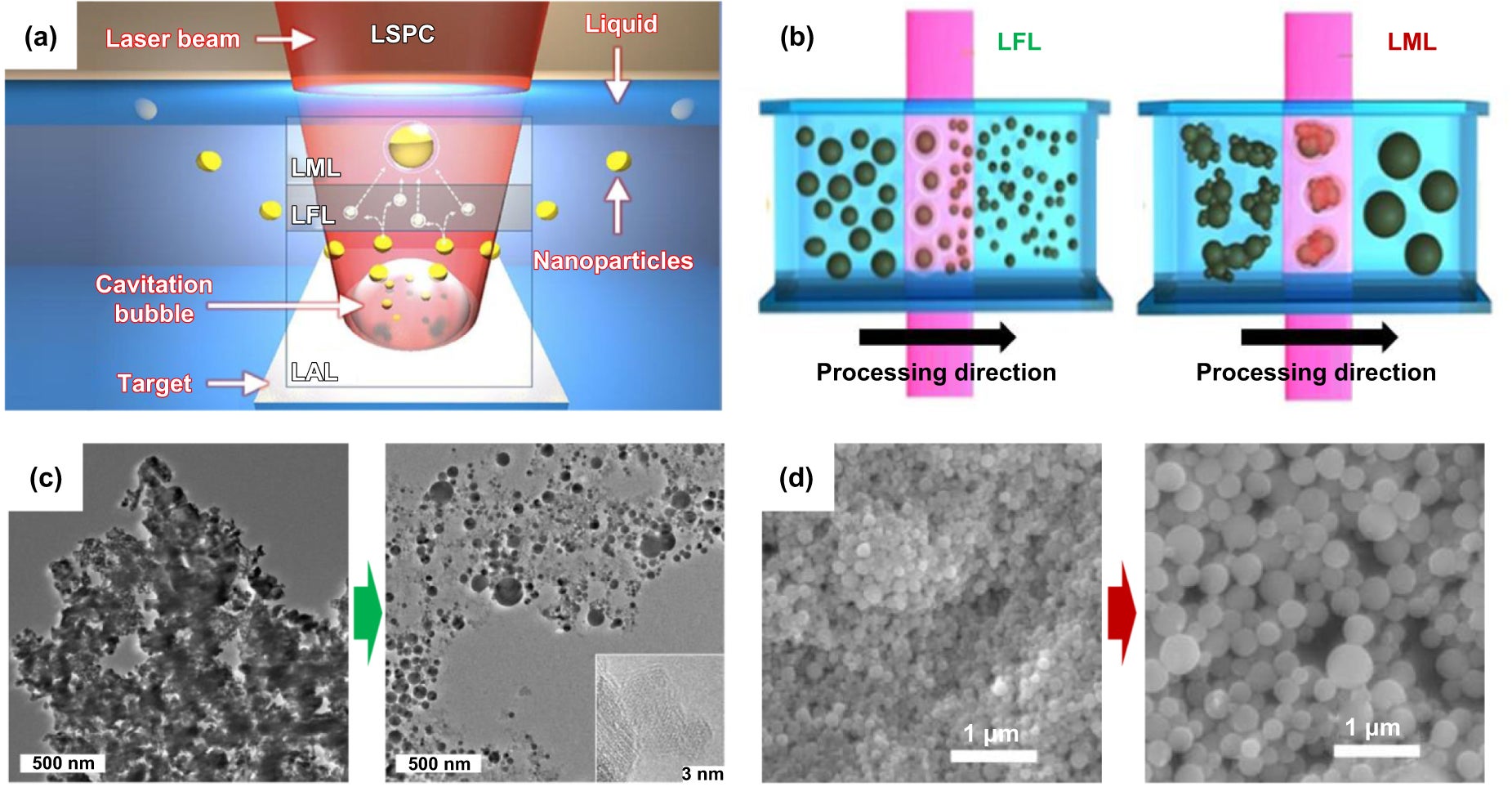 Strategies for engineering LAL-derived NPs with different sizes. Conceptual schematics of the laser fragment in liquid (LFL) and laser melting in liquid (LML) processes during LAL with a solid metal target.