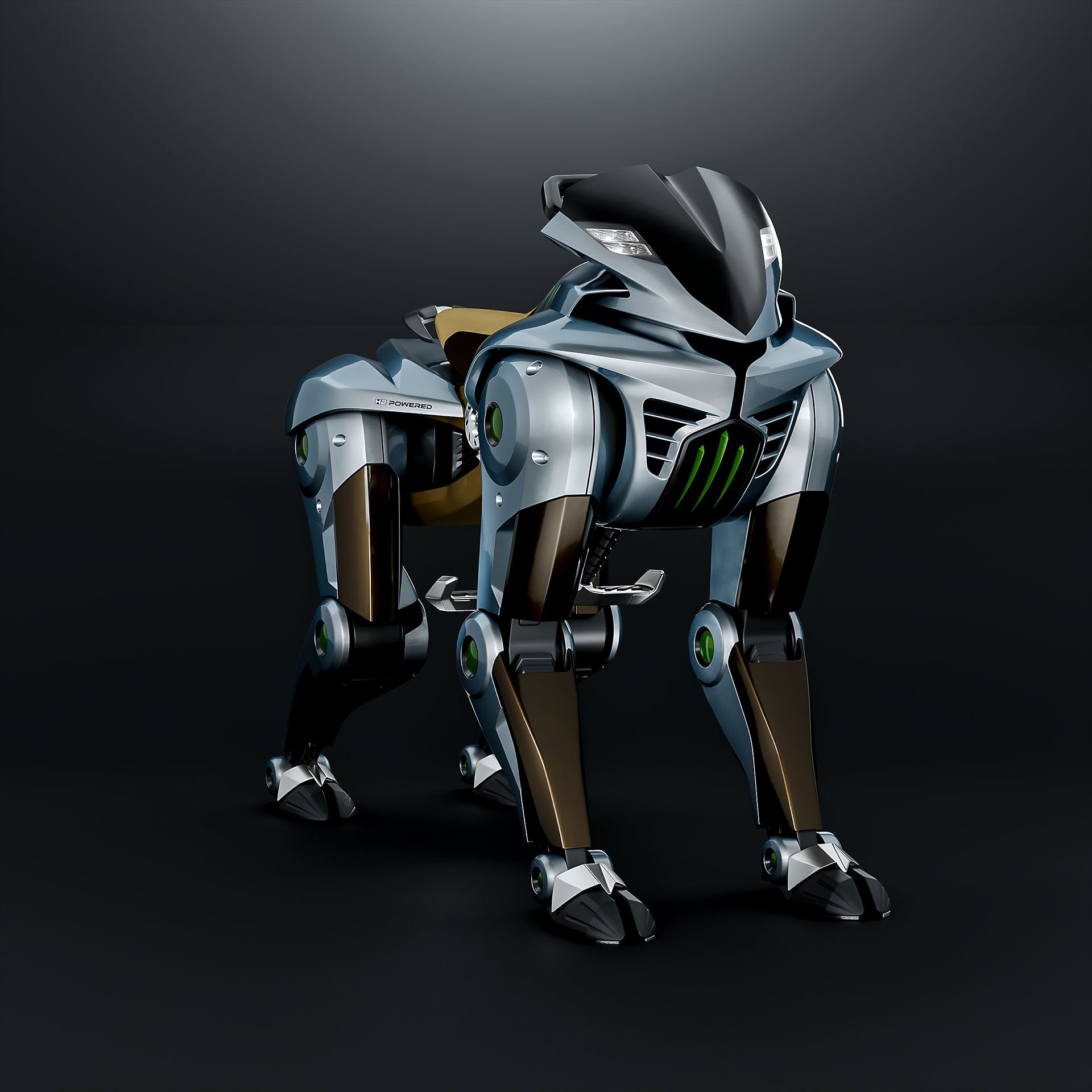 Kawasaki’s revolutionary off-road personal mobility vehicle offers excellent all-terrain capability, powered by four robotic legs, together with the handling and stability of Kawasaki’s motorcycles.