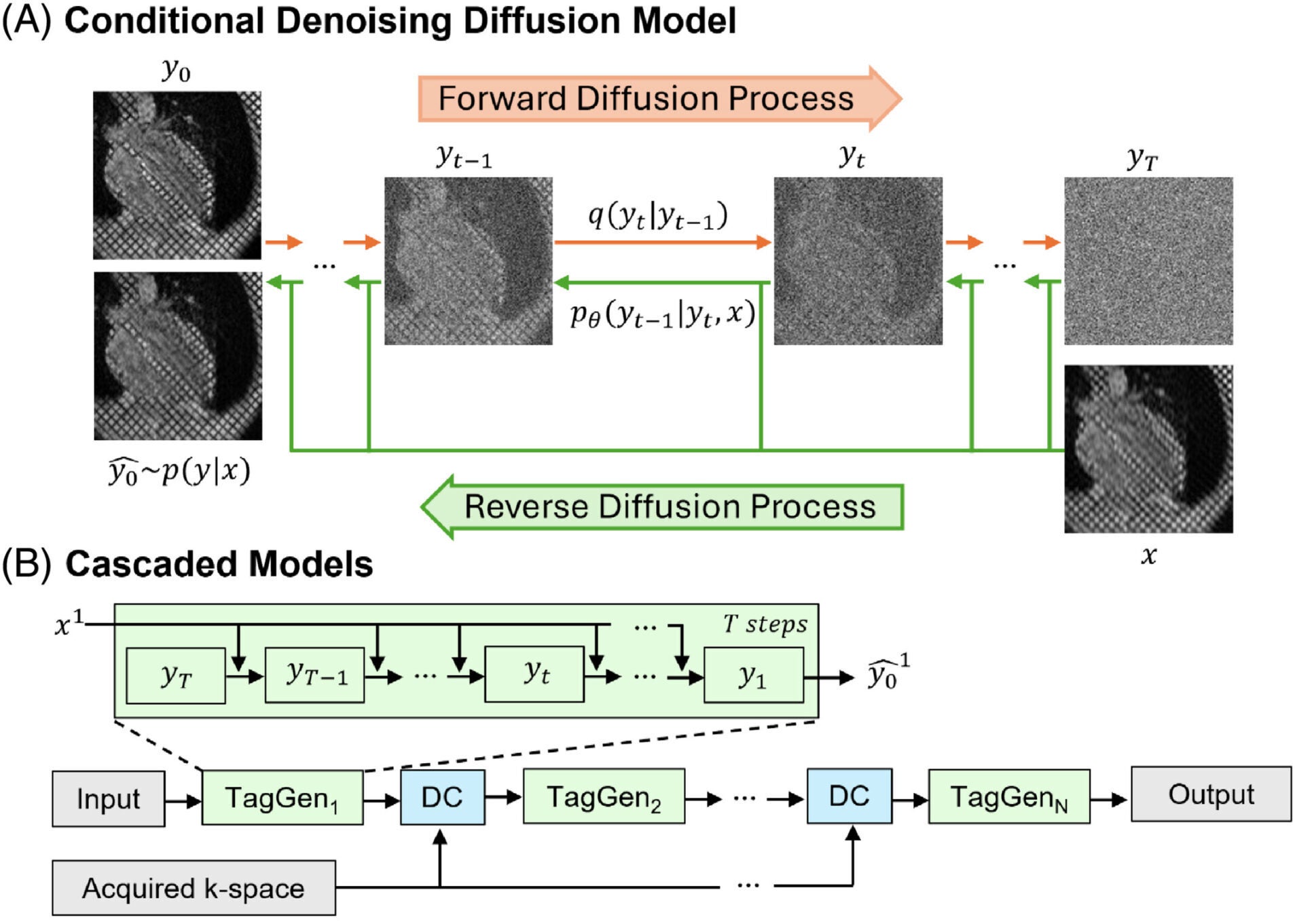 Illustrations of the framework of conditional denoising diffusion model.