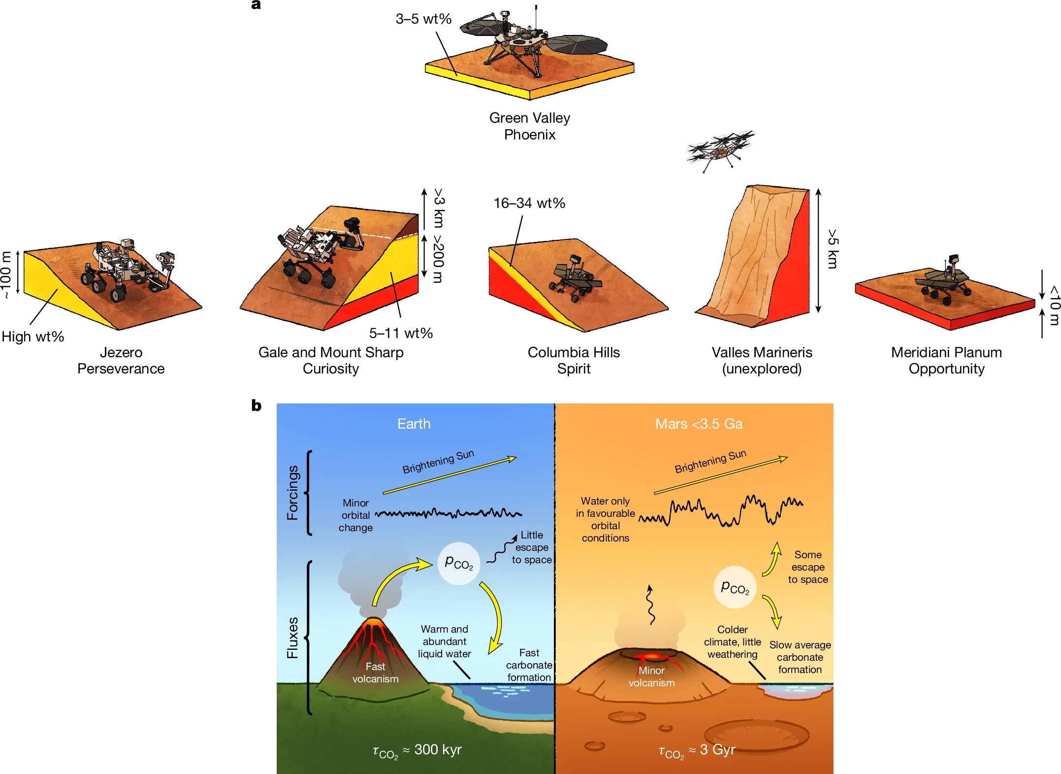 Overview of the observations and proposed model.