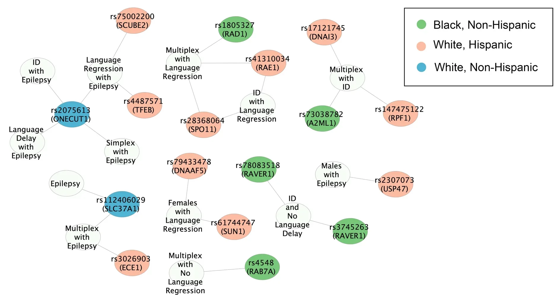 Cytoscape network illustrating clinical associations in autism (white nodes) with various brain-associated QTLs (colored nodes) that were either rare in autism or significantly enriched.