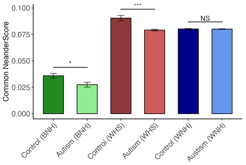 Common NeanderScores across experimental and control groups by ethnicity. In general, autism groups—with the exception of white, non-Hispanics (WNH)—have lower common NeanderScores.