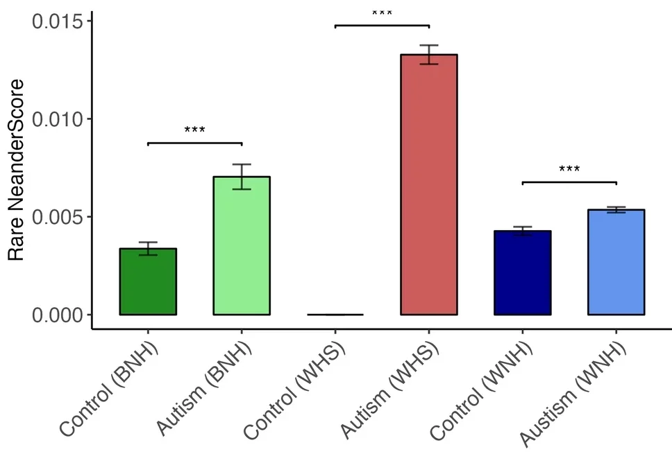 Rare NeanderScores of autism and controls by ethnicity.