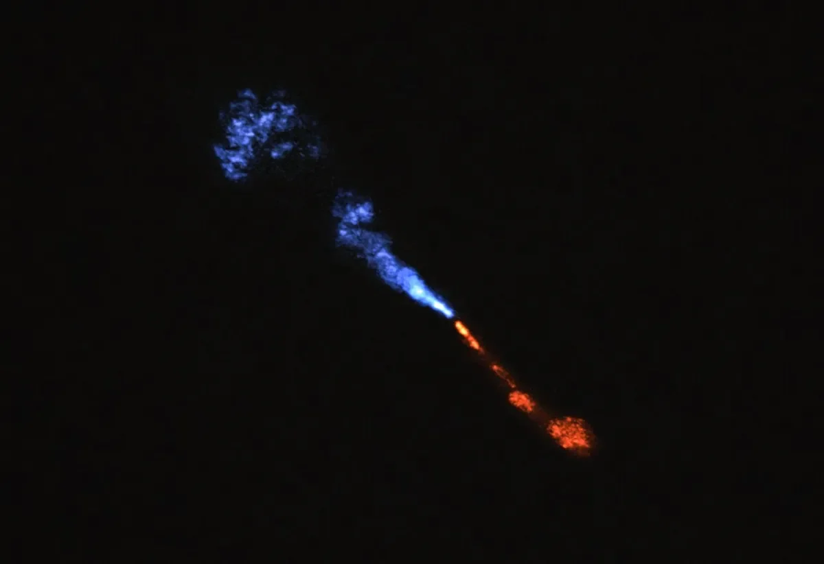 A new ALMA image reveals powerful jets of silicon monoxide (SiO) streaming outward from the infant star HOPS-315.