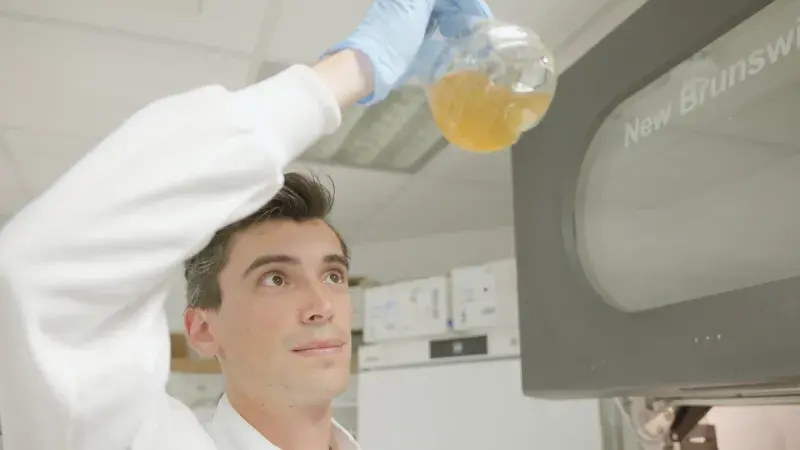 A PhD student checks the growth of a culture of E. coli in the Wallace Lab.