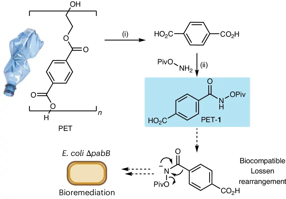 Substrate synthesis from PET plastic waste for bioremediation. 