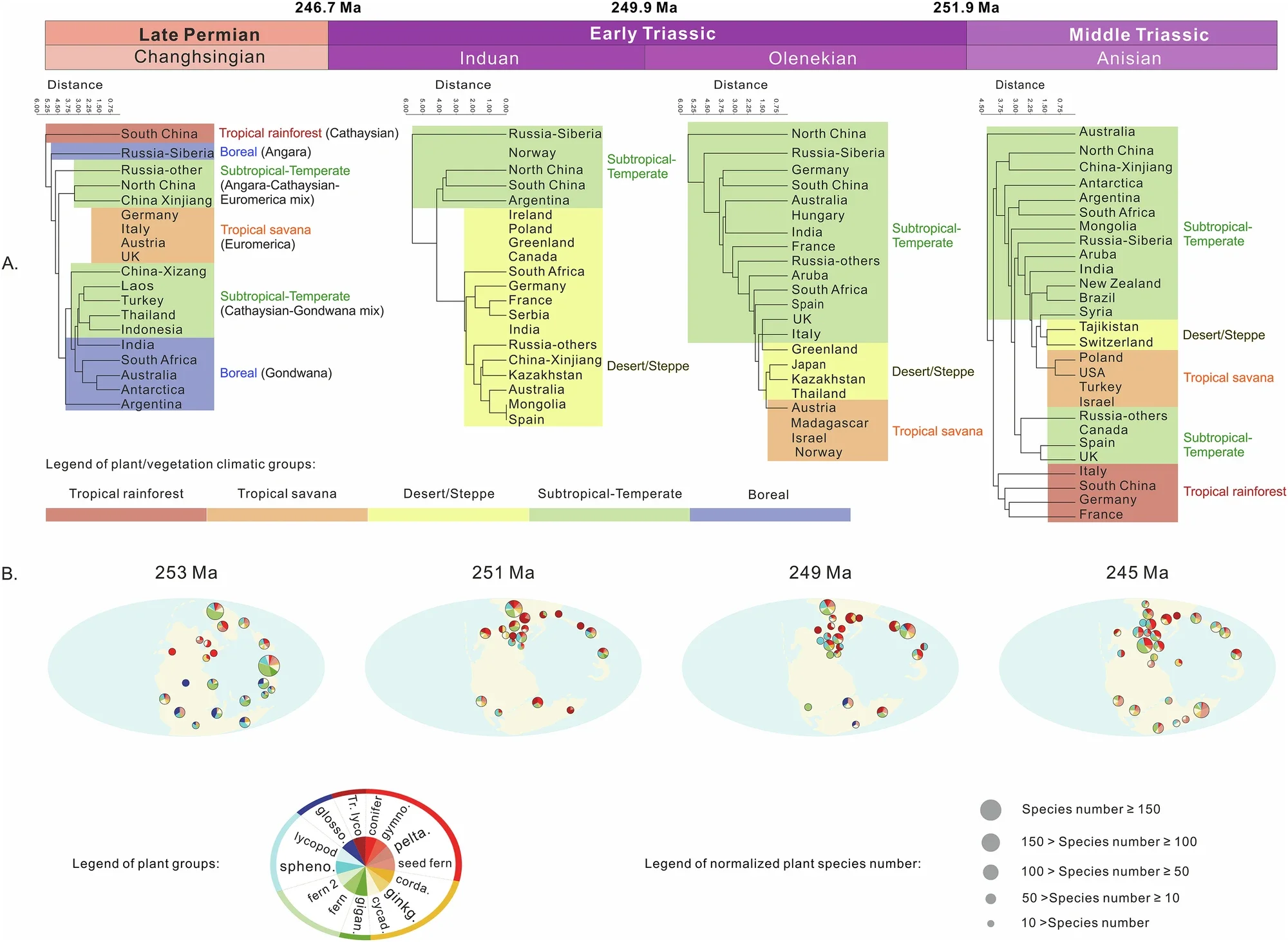 Late Permian to Middle Triassic plant family level clustering, morphological categories and species richness by latitude.